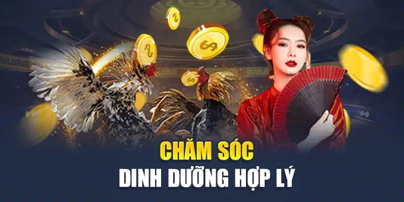 Chăm sóc dinh dưỡng hợp lý