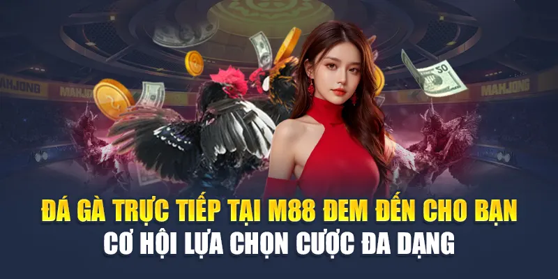 Đá gà trực tiếp tại M88 đem đến cho bạn cơ hội lựa chọn cược đa dạng