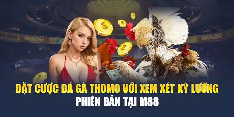 Đặt cược đá gà Thomo với xem xét kỹ lưỡng phiên bản tại M88