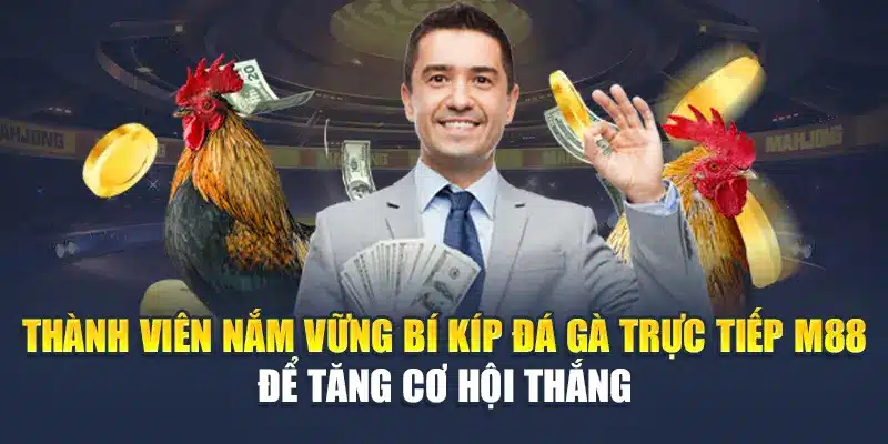 Thành viên nắm vững bí kíp đá gà trực tiếp M88 để tăng cơ hội thắng